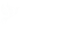 Ally Spark - white reverse - transparent png (2)